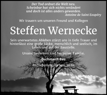 Traueranzeige von Steffen Wernecke von Mitteldeutsche Zeitung Sangerhausen