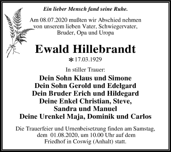 Traueranzeige von Ewald Hillebrandt von Mitteldeutsche Zeitung Wittenberg