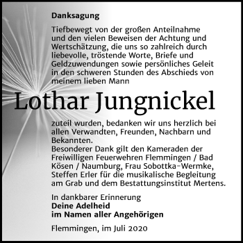 Traueranzeige von Lothar Jungnickel von Wochenspiegel Naumburg/Nebra