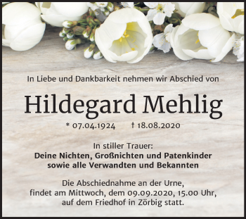 Traueranzeige von Hildegard Mehlig von Mitteldeutsche Zeitung Bitterfeld