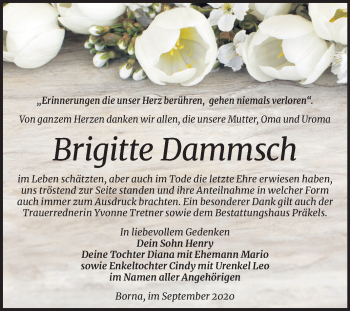 Traueranzeige von Brigitte Dammsch von Mitteldeutsche Zeitung Zeitz