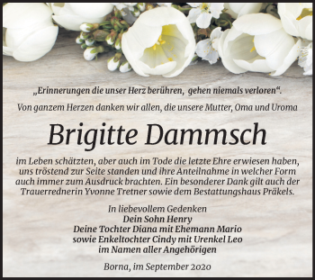 Traueranzeige von Brigitte Dammsch von Super Sonntag Zeitz