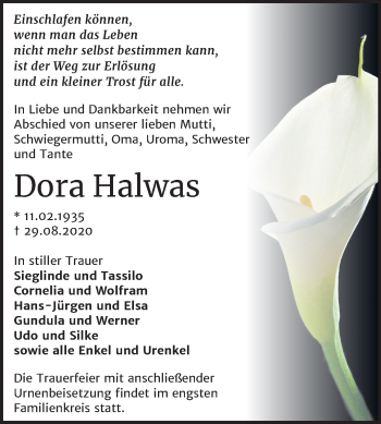 Traueranzeige von Dora Halwas von Super Sonntag Wittenberg
