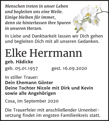 Traueranzeige von Elke Herrmann von Mitteldeutsche Zeitung Köthen