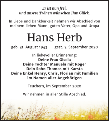 Traueranzeige von Hans Herb von Super Sonntag Weißenfels