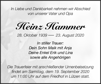 Traueranzeige von Heinz Hammer von Super Sonntag Weißenfels