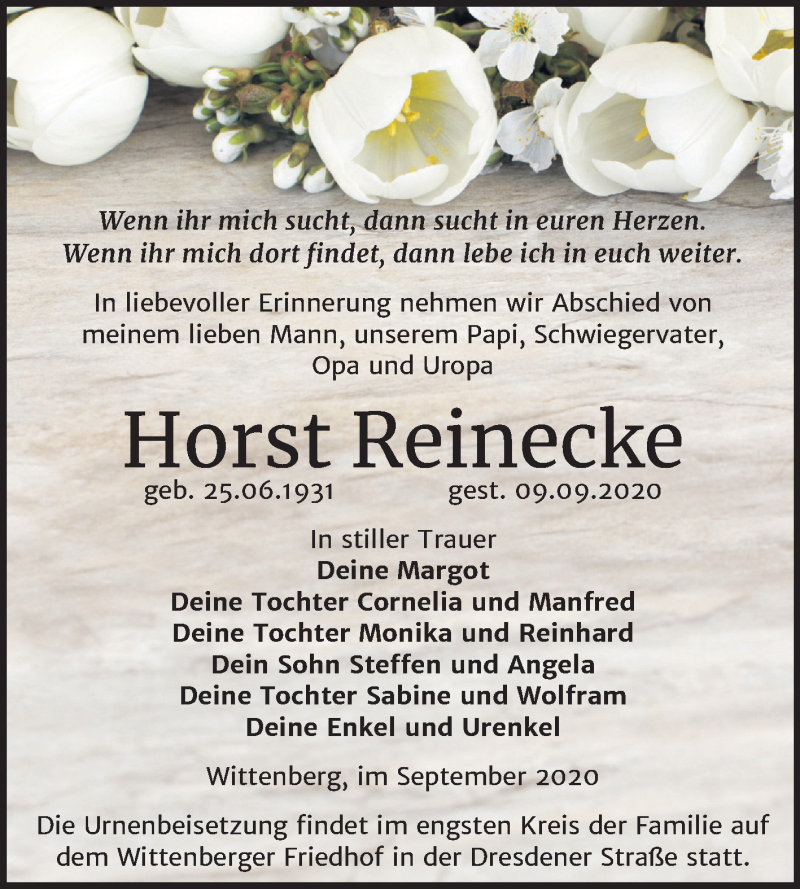  Traueranzeige für Horst Reinecke vom 19.09.2020 aus Super Sonntag Wittenberg
