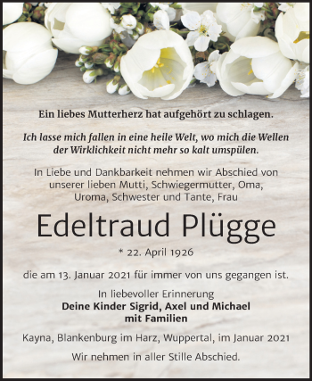 Traueranzeige von Edeltraud Plügge von Super Sonntag Zeitz