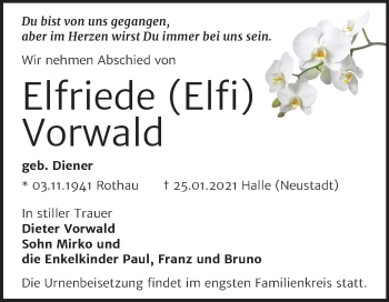Traueranzeige von Elfriede Vorwald von Mitteldeutsche Zeitung Halle/Saalkreis