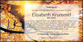 Traueranzeige von Elisabeth Krummel von Super Sonntag Mansfelder Land