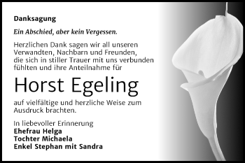 Traueranzeige von Horst Egeling von Super Sonntag Merseburg/Querfurt