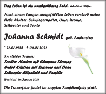 Traueranzeige von Johanna Schmidt von Mitteldeutsche Zeitung Aschersleben