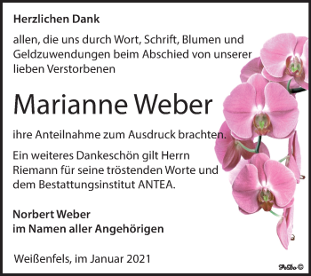 Traueranzeige von Marianne Weber von Mitteldeutsche Zeitung Weißenfels