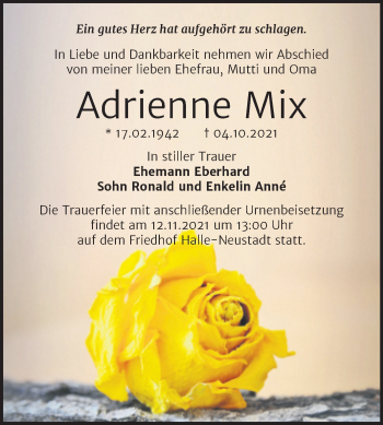 Traueranzeige von Adrienne Mix von Mitteldeutsche Zeitung Halle/Saalkreis