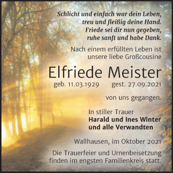 Traueranzeige von Elfriede Meister von Trauerkombi Sangerhausen