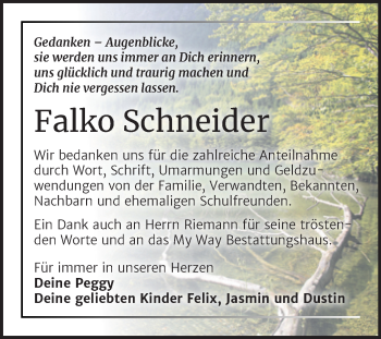 Traueranzeige von Falko Schneider von Trauerkombi Weißenfels