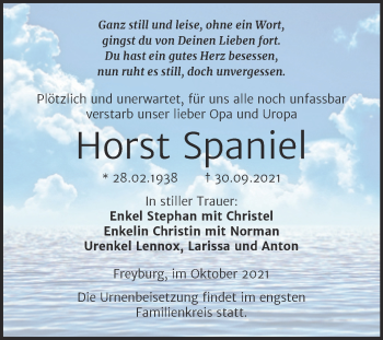Traueranzeige von Horst Spaniel von Wochenspiegel Naumburg/Nebra