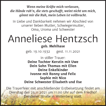 Traueranzeige von Anneliese Hentzsch von Trauerkombi Wittenberg