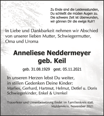 Traueranzeige von Anneliese Neddermeyer von Trauerkombi Bitterfeld