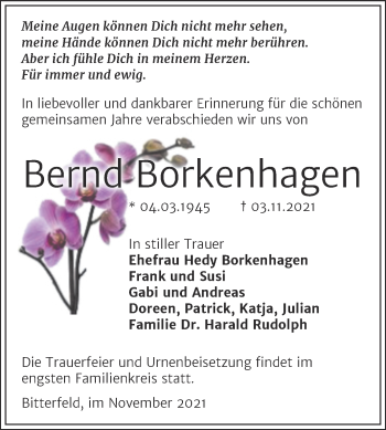 Traueranzeige von Bernd Borkenhagen von Trauerkombi Bitterfeld