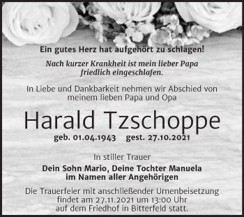 Traueranzeige von Harald Tzschoppe von Trauerkombi Bitterfeld