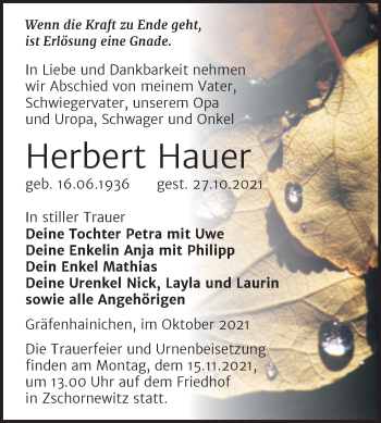 Traueranzeige von Herbert Hauer von Trauerkombi Wittenberg