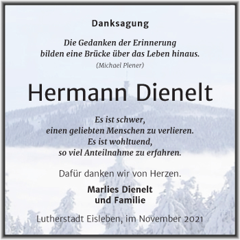 Traueranzeige von Hermann Dienelt von Trauerkombi Mansfelder Land