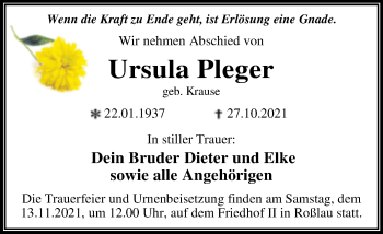 Traueranzeige von Ursula Pleger von Trauerkombi Dessau