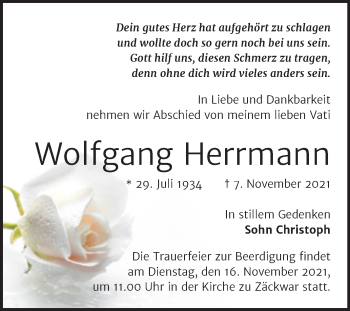 Traueranzeige von Wolfgang Herrmann von Naumburger Tageblatt