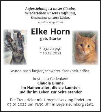 Traueranzeige von Elke Horn von Trauerkombi Sangerhausen