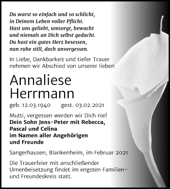 Traueranzeige von Annaliese Herrmann von Super Sonntag Sangerhausen