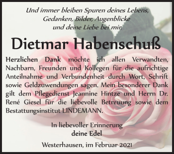 Traueranzeige von Dietmar Habenschuss von Mitteldeutsche Zeitung Quedlinburg