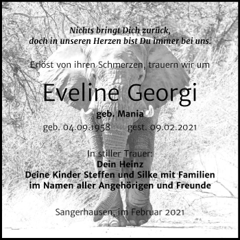 Traueranzeige von Eveline Georgi von Super Sonntag Sangerhausen