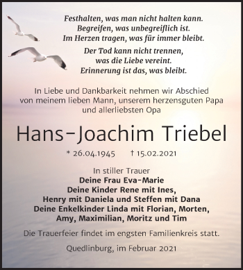 Traueranzeige von Hans-Joachim Triebel von Mitteldeutsche Zeitung Quedlinburg