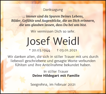 Traueranzeige von Josef Weidl von Super Sonntag Wittenberg