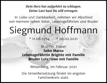 Traueranzeige von Siegmund Hoffmann von Mitteldeutsche Zeitung Wittenberg