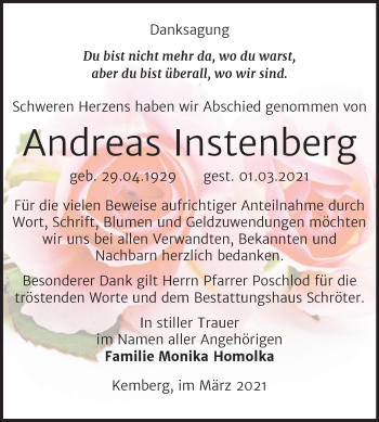 Traueranzeige von Andreas Instenberg von Mitteldeutsche Zeitung Wittenberg