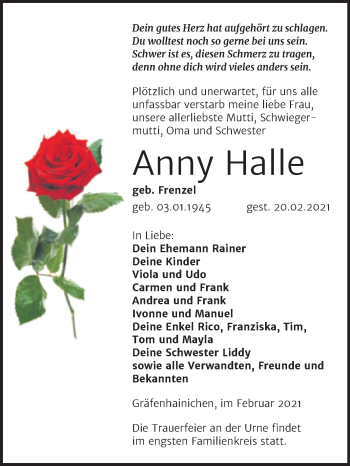 Traueranzeige von Anny Halle von Mitteldeutsche Zeitung Wittenberg