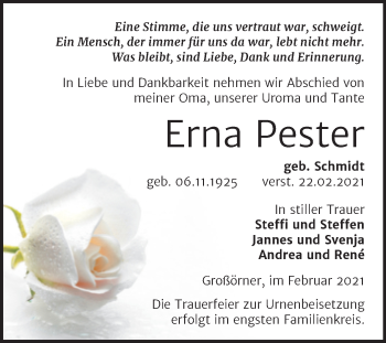 Traueranzeige von Erna Pester von Mitteldeutsche Zeitung Mansfelder Land