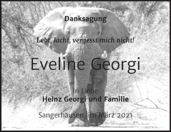 Traueranzeige von Eveline Georgi von Mitteldeutsche Zeitung Sangerhausen