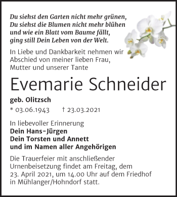 Traueranzeige von Evemarie Schneider von Super Sonntag Wittenberg