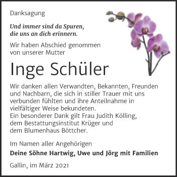 Traueranzeige von Inge Schüler von Super Sonntag Wittenberg