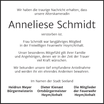 Traueranzeige von Anneliese Schmidt von Super Sonntag Aschersleben