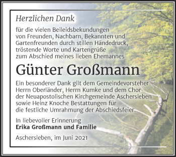 Traueranzeige von Günter Großmann von Trauerkombi Aschersleben