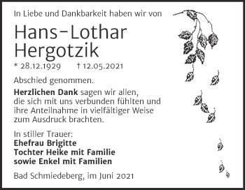 Traueranzeige von Hans-Lothar Hergotzik von Trauerkombi Wittenberg