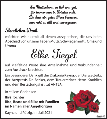 Traueranzeige von Elke Tiegel von Trauerkombi Zeitz