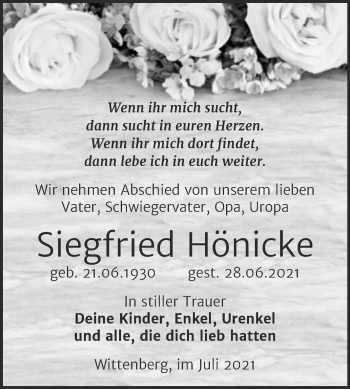 Traueranzeige von Siegfried Hönicke von Trauerkombi Wittenberg