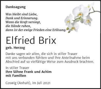 Traueranzeige von Elfried Brix von Trauerkombi Wittenberg