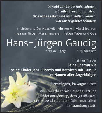 Traueranzeige von Hans-Jürgen Gaudig von Wochenspiegel Naumburg/Nebra