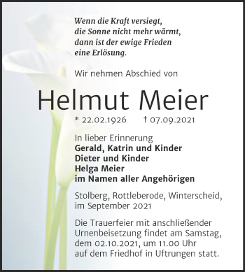 Traueranzeige von Helmut Meier von Mitteldeutsche Zeitung Sangerhausen